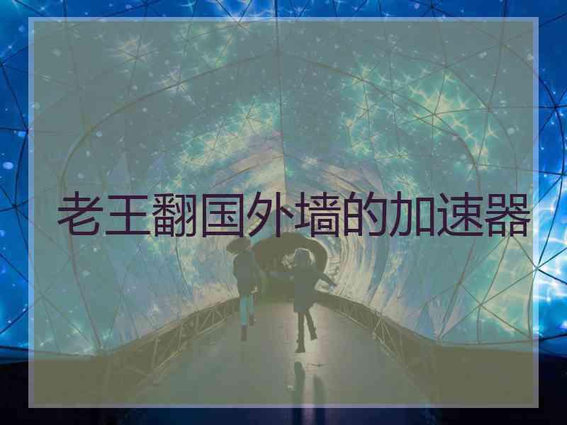 老王翻国外墙的加速器