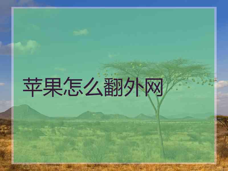 苹果怎么翻外网