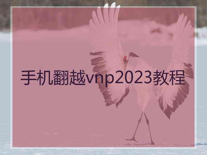 手机翻越vnp2023教程