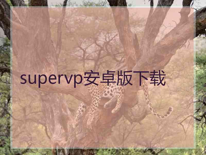 supervp安卓版下载