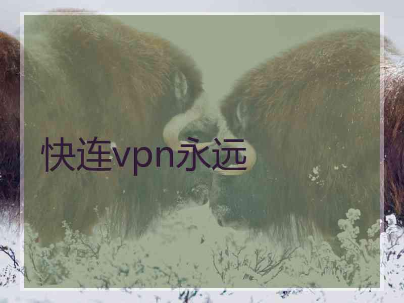 快连vpn永远