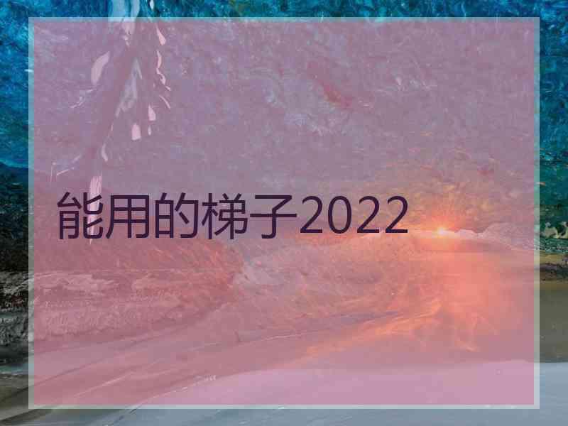 能用的梯子2022