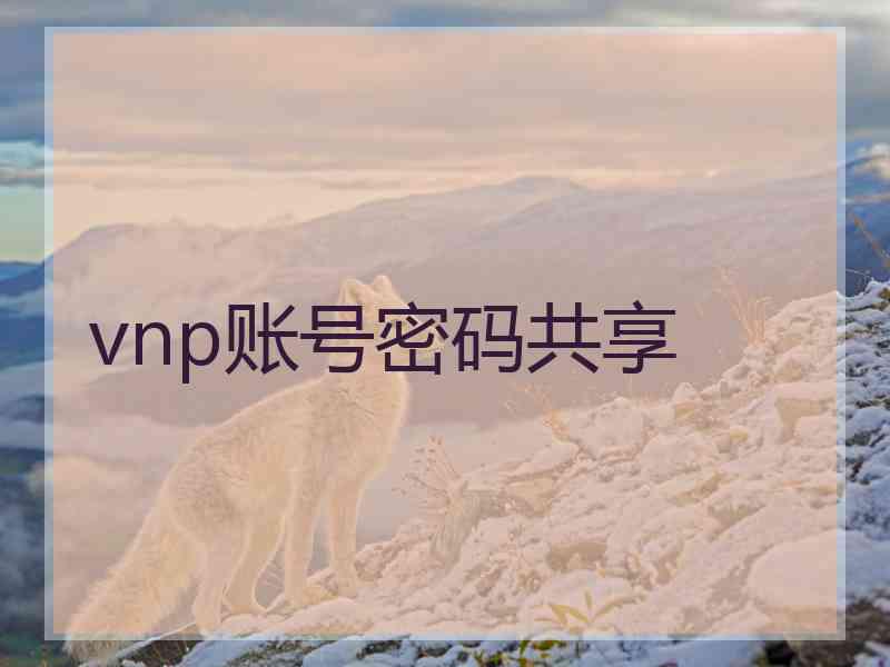 vnp账号密码共享