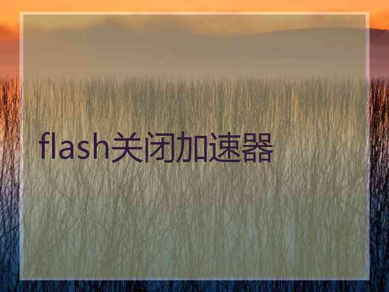 flash关闭加速器