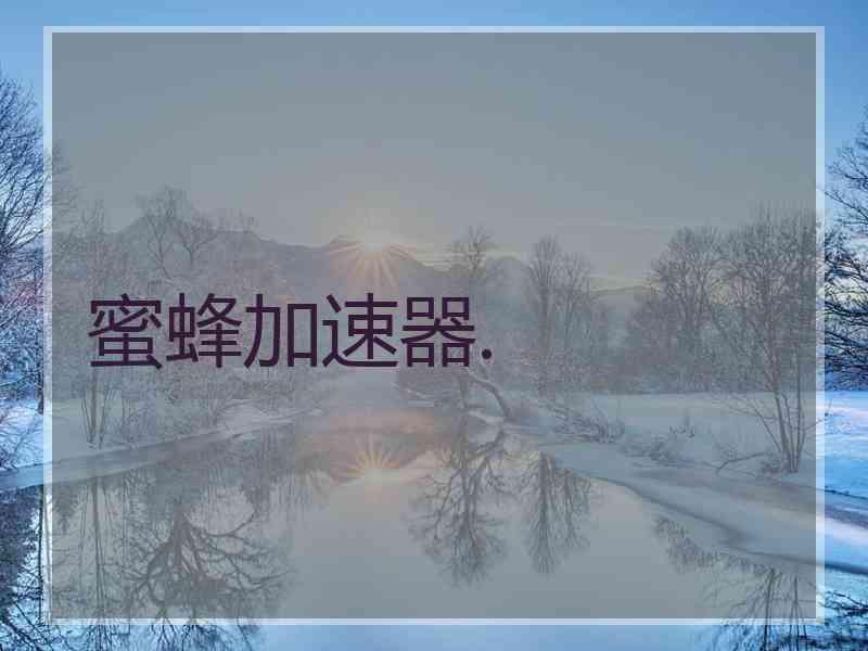 蜜蜂加速器.
