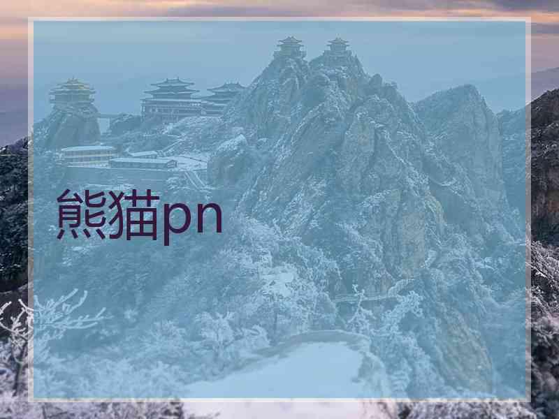 熊猫pn
