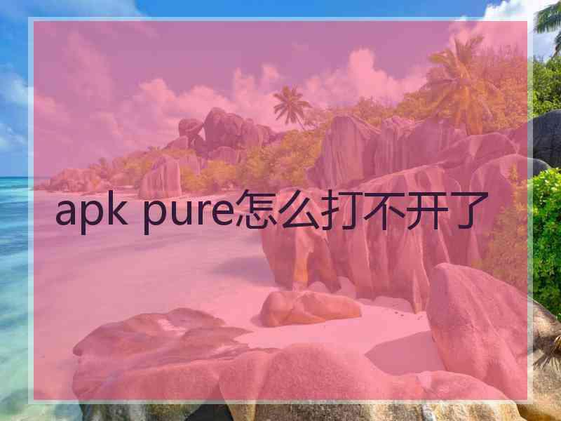 apk pure怎么打不开了