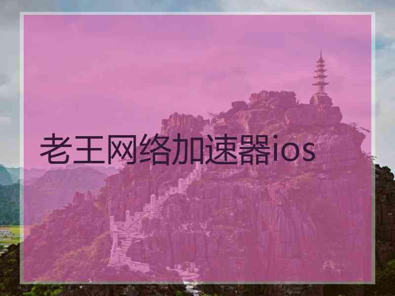 老王网络加速器ios