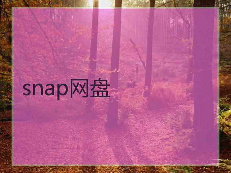 snap网盘