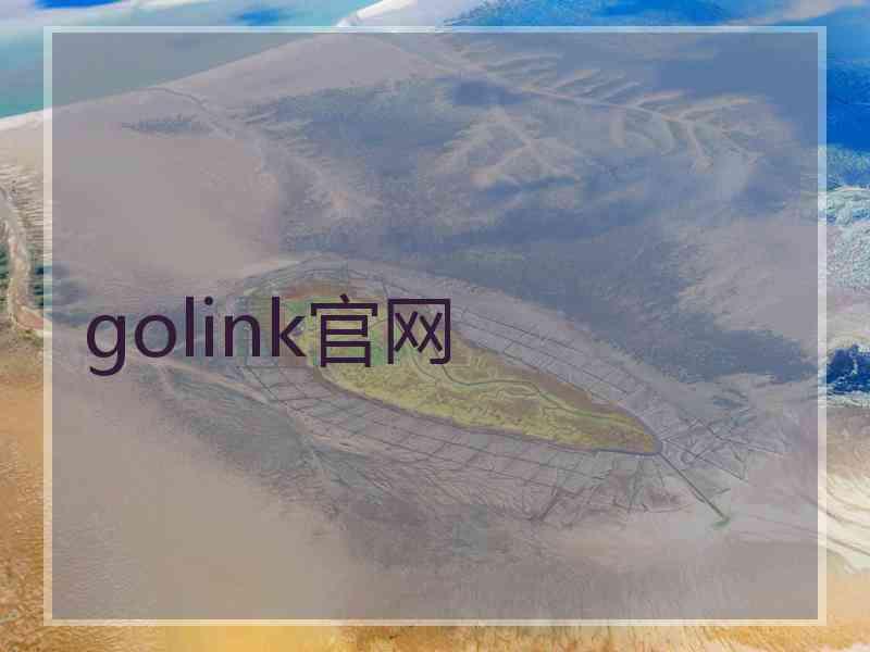 golink官网