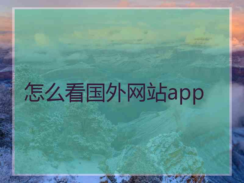 怎么看国外网站app