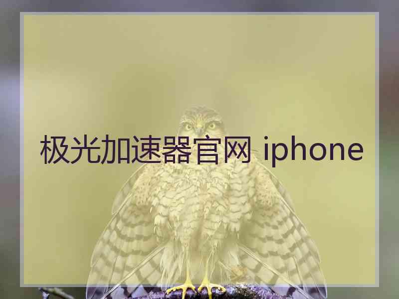 极光加速器官网 iphone