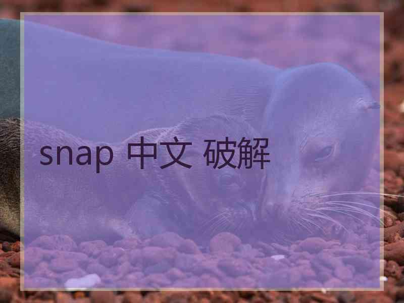 snap 中文 破解