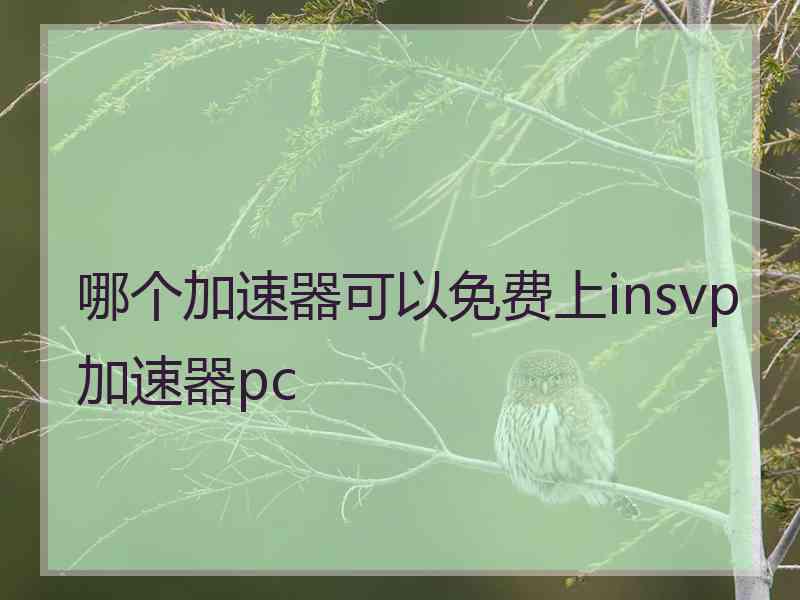 哪个加速器可以免费上insvp加速器pc