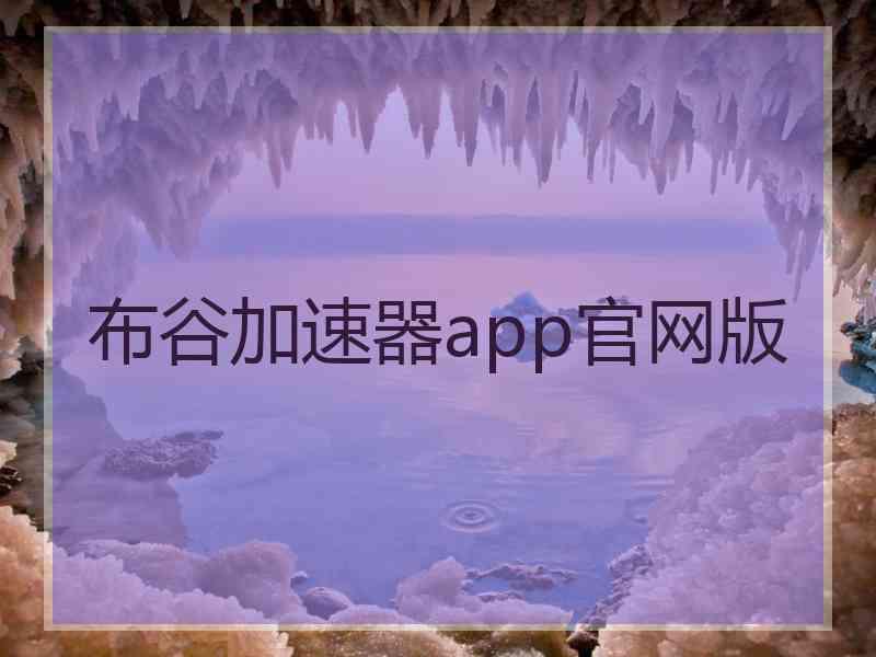 布谷加速器app官网版