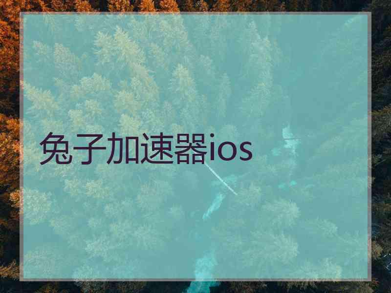 兔子加速器ios