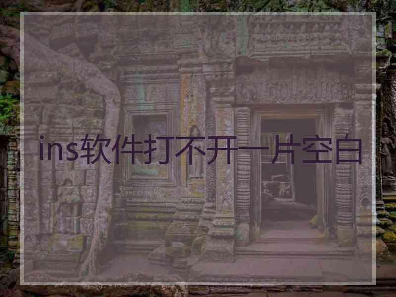 ins软件打不开一片空白
