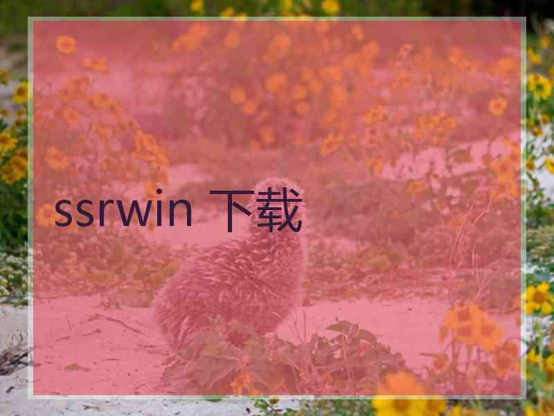 ssrwin 下载