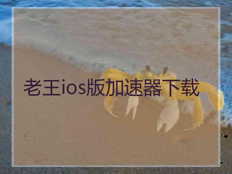 老王ios版加速器下载