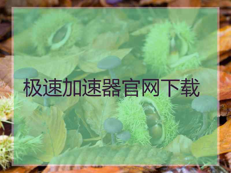 极速加速器官网下载