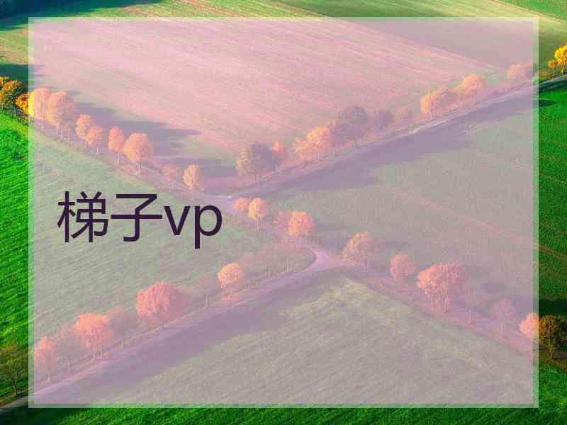 梯子vp