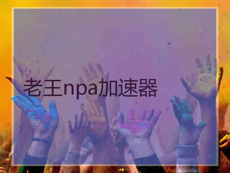 老王npa加速器