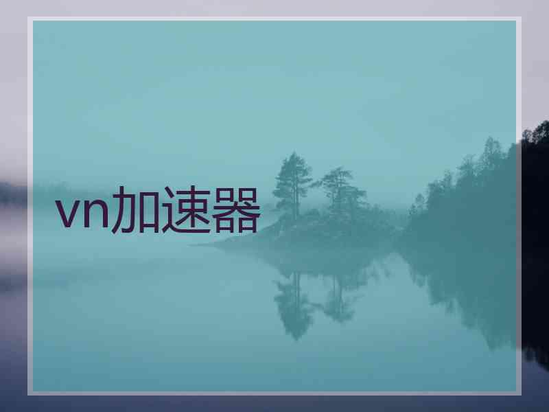 vn加速器