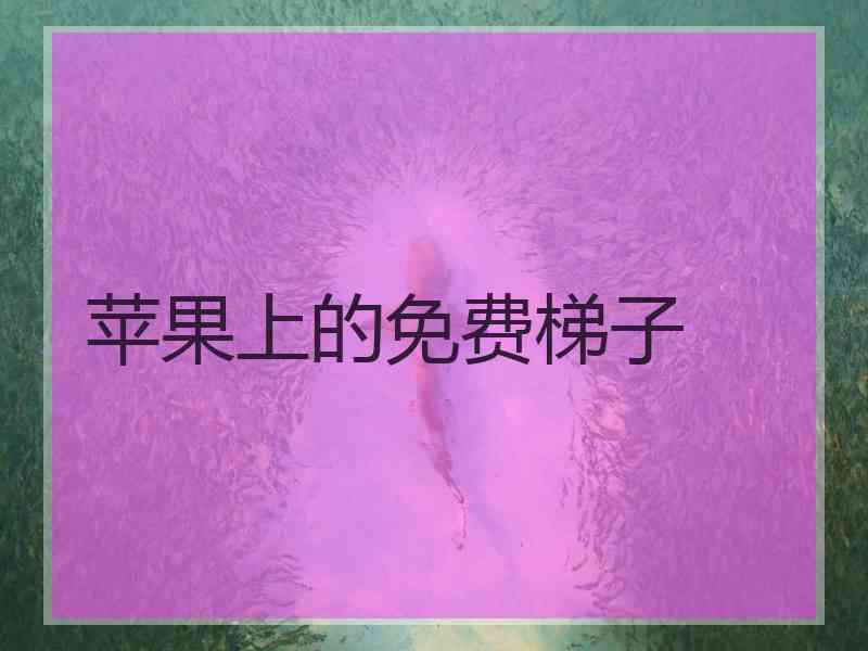 苹果上的免费梯子