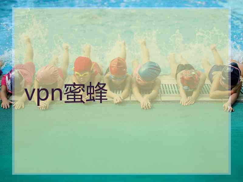 vpn蜜蜂