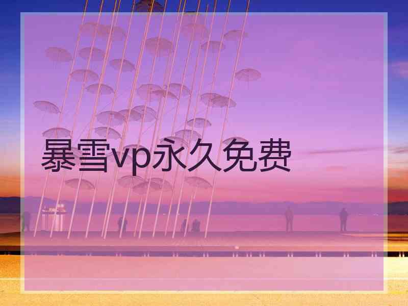 暴雪vp永久免费
