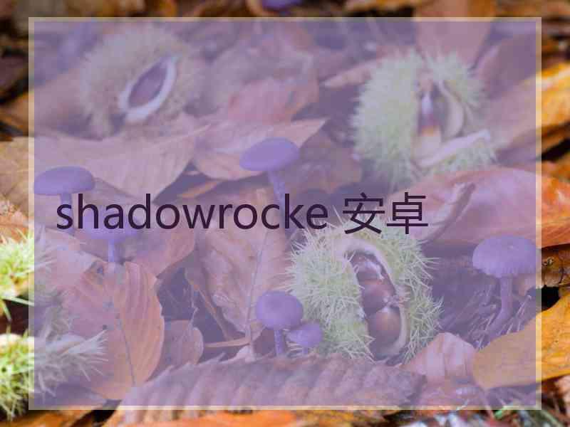 shadowrocke 安卓