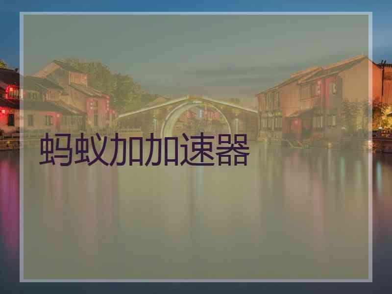 蚂蚁加加速器