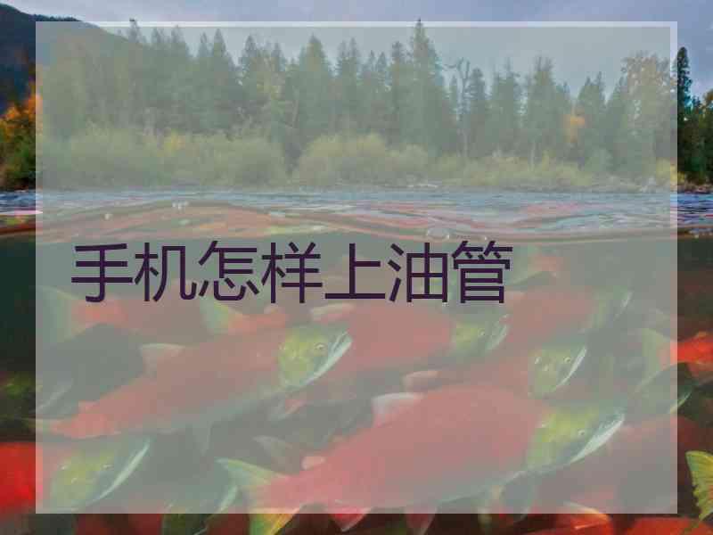 手机怎样上油管