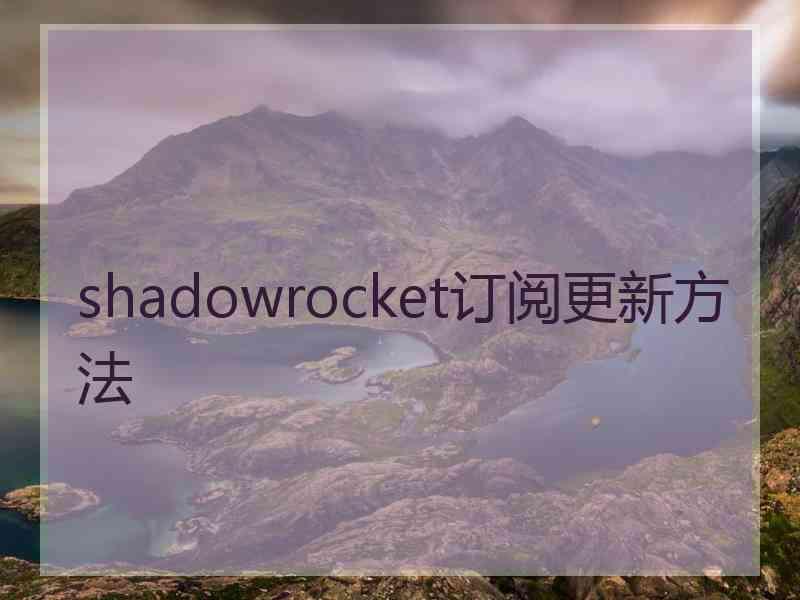 shadowrocket订阅更新方法