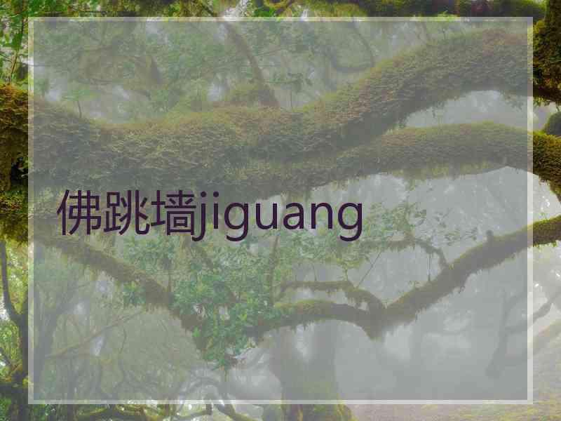 佛跳墙jiguang