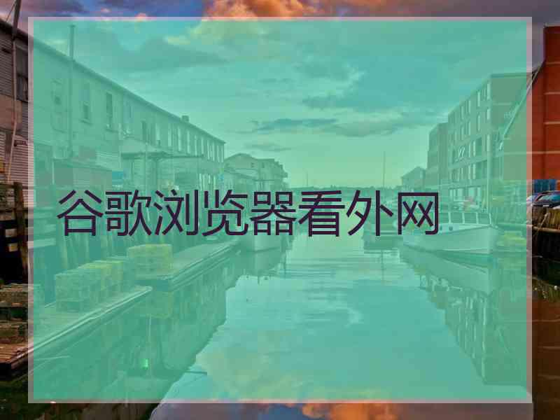 谷歌浏览器看外网