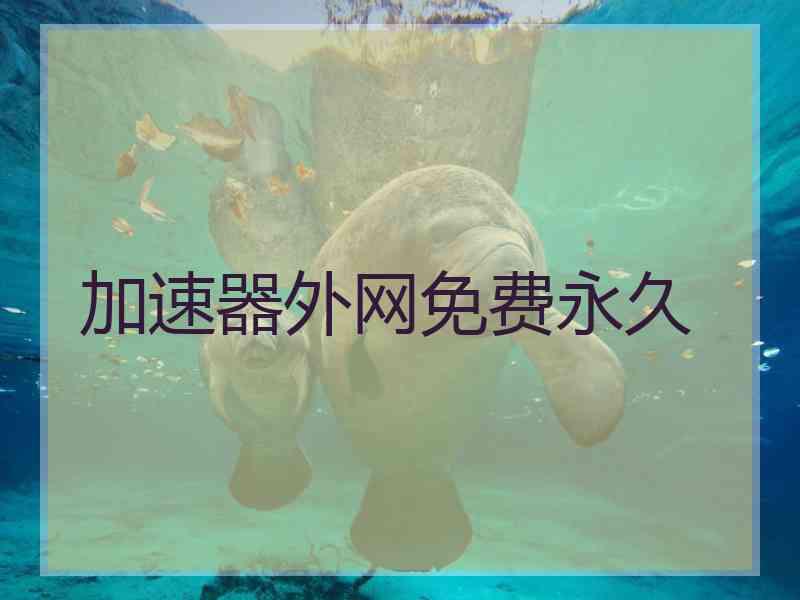 加速器外网免费永久