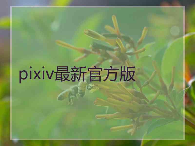 pixiv最新官方版