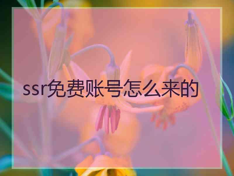 ssr免费账号怎么来的