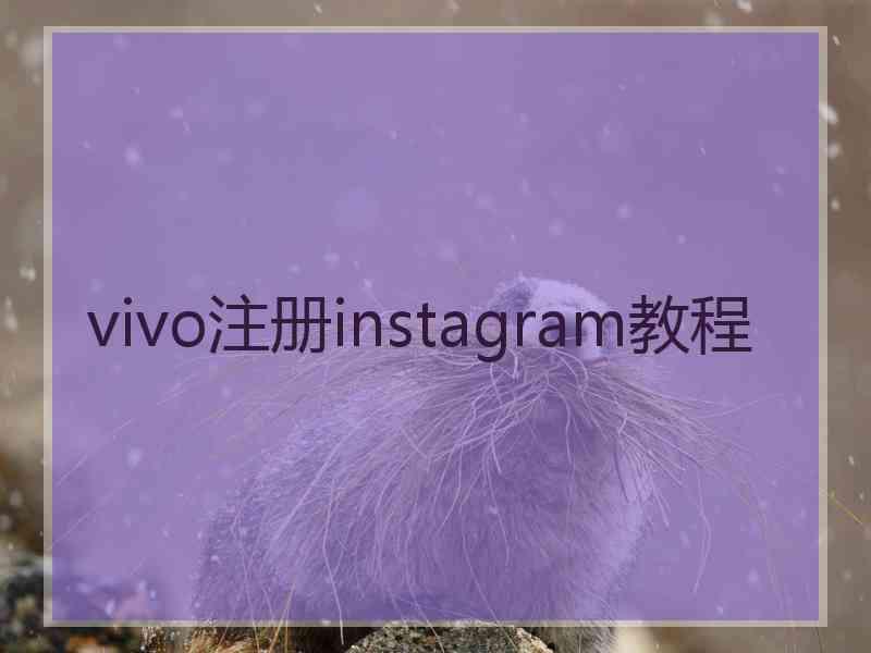 vivo注册instagram教程