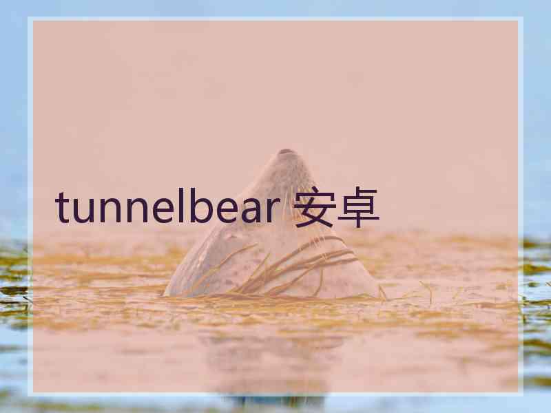 tunnelbear 安卓