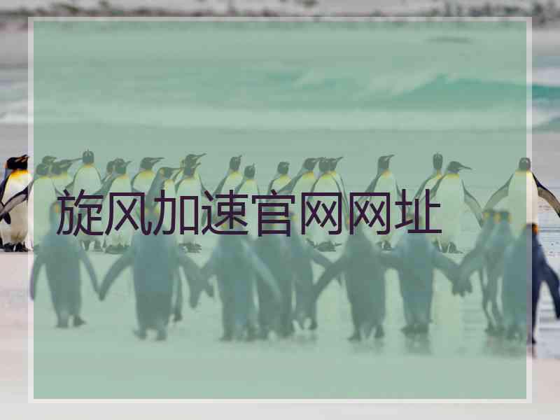 旋风加速官网网址