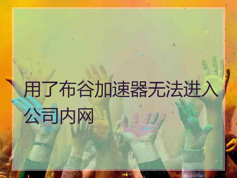 用了布谷加速器无法进入公司内网