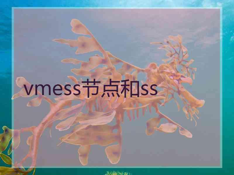 vmess节点和ss