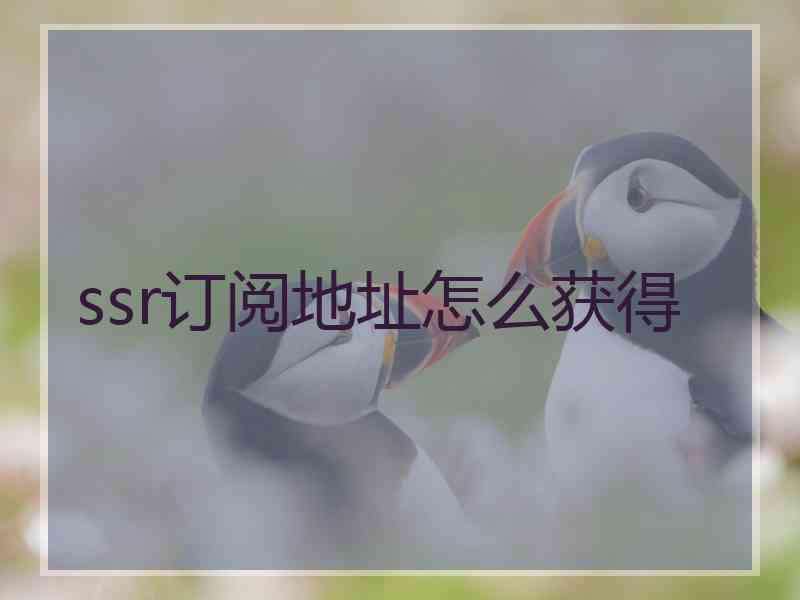 ssr订阅地址怎么获得