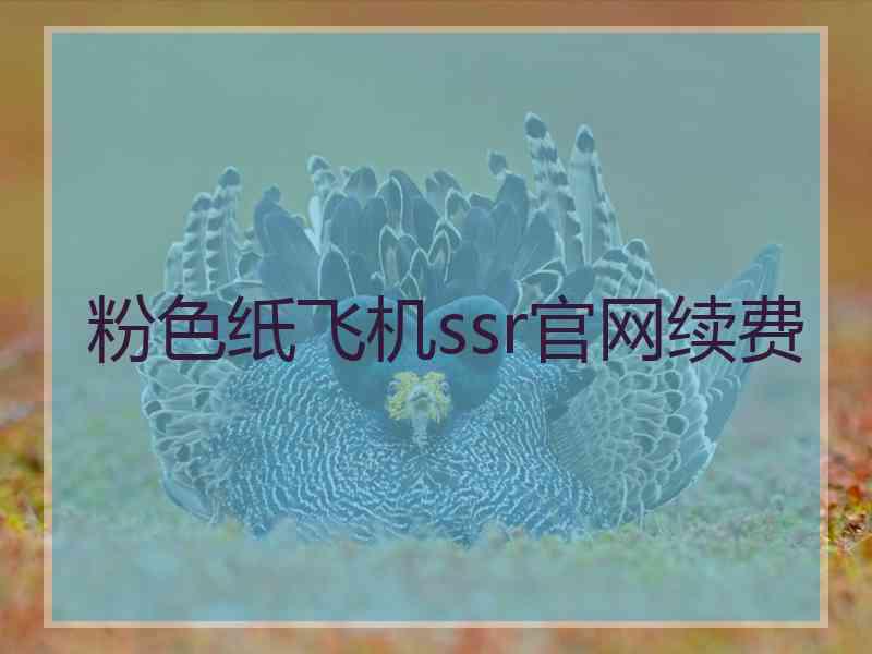 粉色纸飞机ssr官网续费