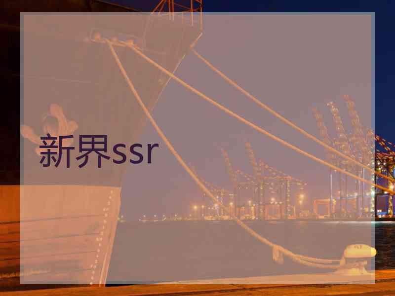 新界ssr