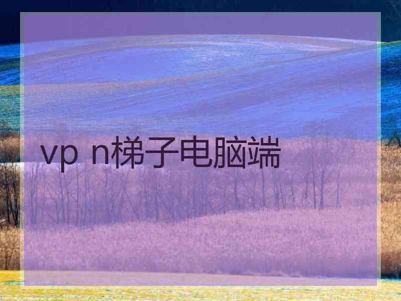 vp n梯子电脑端
