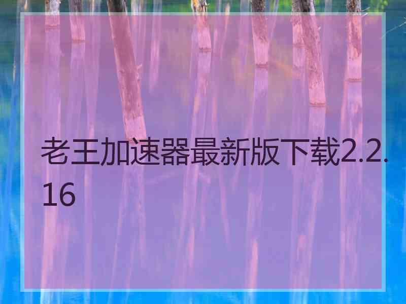 老王加速器最新版下载2.2.16