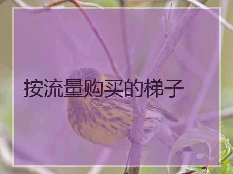 按流量购买的梯子